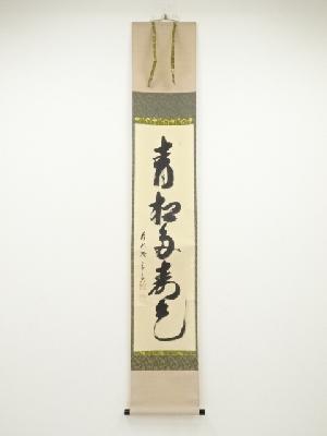 前大徳西垣宗興筆　「青松多寿色」一行書　肉筆紙本掛軸（共箱）